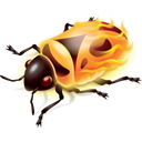 Firebug icon