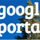 iGoogle Portal icon