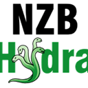 NZBHydra icon