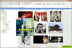 Thumbnails of image files in one of three fully configurable thumbnails views. Supported are PNG, JPG, GIF, TIF, TGA, WMF, PSD, ICO, BMP, and all RAW photo formats that you have CODECs for. Thumbnails support XYplorer's unique and famous Mouse Down Blow Up functionality.