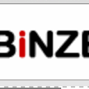 BiNZB icon