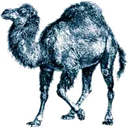 Perl icon