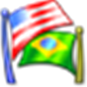 Flagfox icon