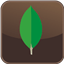 MongoDB icon