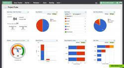 Project Pulse Dashboard