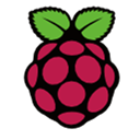 Raspberry Pi icon