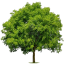 Tab Tree icon