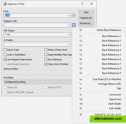 Replace in files Window and params for "Replace with" input field