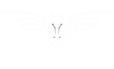 Mirrorsup icon