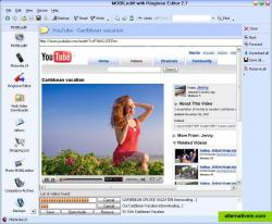 Web Video Downloader