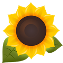 Sunflower icon