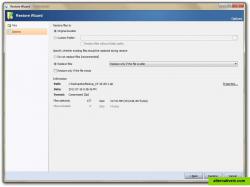 Restore Wizard - Restore Options