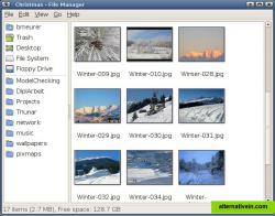 Icon view displaying image thumbnails