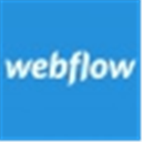 Webflow icon