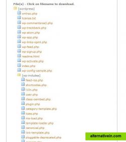 List of Uncompressed Files Ready to be Downloaded