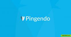 Pingendo - social banner