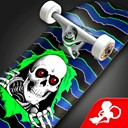 Skateboard Party icon