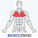 MuscleWiki icon