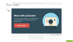 Promo widget
(customizable website popups)