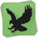 Black Bird Cleaner icon