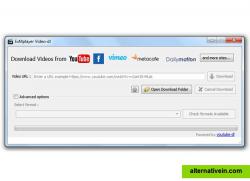 Video Downloader