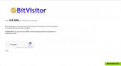 BitVisitor