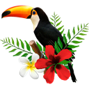 Toucan Tasks icon