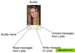 Email buddy notifier.