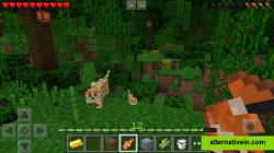 A Jungle in Minecraft