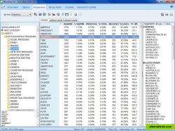 WordStat- Content Analysis and Text Mining