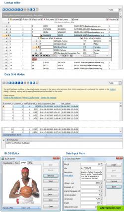 Data Grid