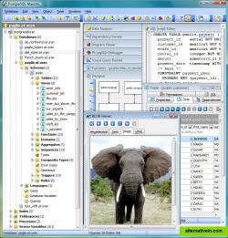 PostgreSQL Maestro interface