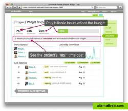 Project overview with time budget breakdown, activity graph, recent entries, etc.