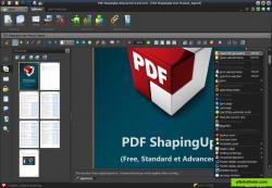 PDF Viewer