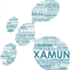 xamun icon