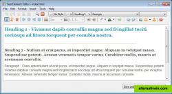 Text element editor