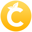 Citrus icon