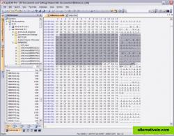 Hexadecimal Editor