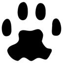 PAW Server icon