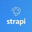 Strapi icon