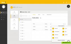 Create DataSet, fields and server-side validation.
By default datasets are schemaless.