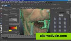 facial animation