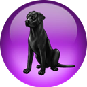 Black Lab Linux icon