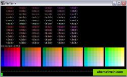 X Term 256 color support