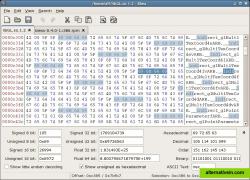 The usual offset-hex-ascii view and the pattern highlight feature.