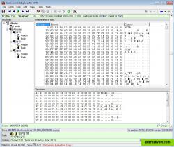 hex editor