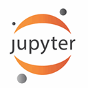 Jupyter icon