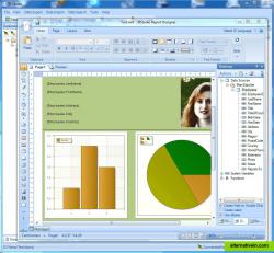BI Studio Report Designer