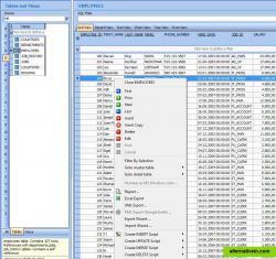 The Data Contents Browser allows quick navigation back and forth between related tables. You can quickly add to or replace a filter for a particular table or view, then filter by selection to see the related rows of master and detail tables.