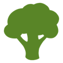 Broccoli icon